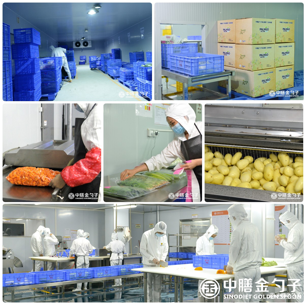 1649835679106968.jpg 迅捷图片转换器-2022413-1649829858756.jpg