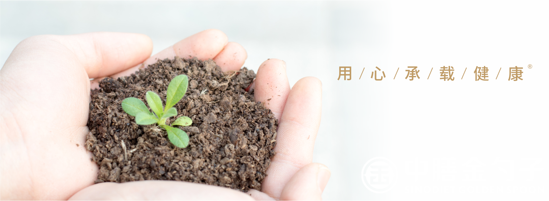 1651905463106603.png 顶关注.png